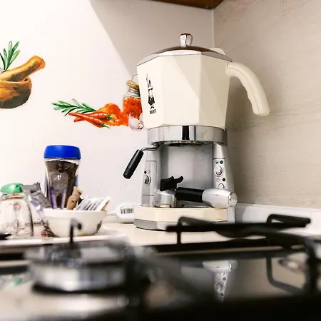 Flower's House 24 - - * Molfetta